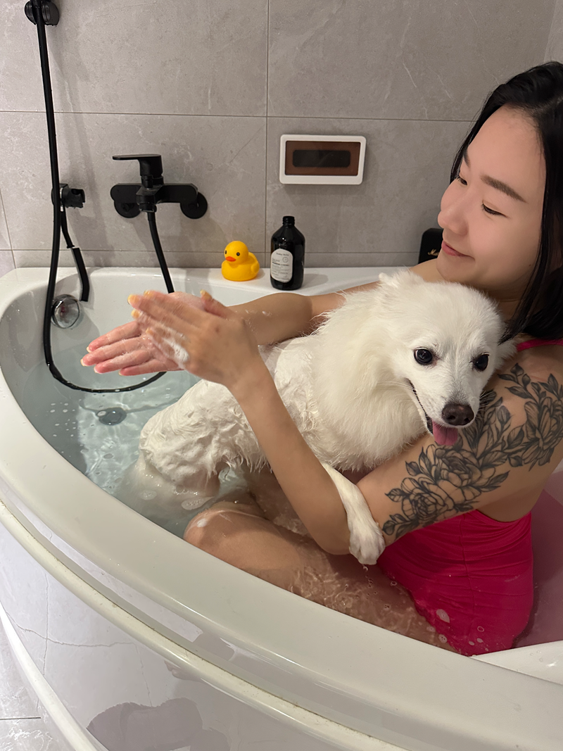 女人知己試用大隊,口碑行銷,部落客行銷,Downy Belly毛肚子,Downy Belly 保濕滋養胺基酸洗毛精,紅球薑淨膚配方,Downy Belly 保濕滋養胺基酸洗毛精-紅球薑淨膚配方,洗品天生防禦力，皮膚天生就很強,除了洗乾淨，其他的真的先不用,胺基酸清潔因子,好的界面活性劑，才能好洗,好沖淨,不易殘留,適量的細緻泡泡,狗貓皆適用,加拿大毒物學家安全把關,100%環保回收料再製瓶器,零廢棄為目標,低敏洗毛精,寵物訓練師好評,Downy Belly毛肚子,Downy Belly 皮膚救急胺基酸洗毛精,IPMP舒緩配方,Downy Belly 皮膚救急胺基酸洗毛精-IPMP舒緩配方,洗品天生防禦力,皮膚天生就很強,除了洗乾淨,其他的真的先不用,胺基酸清潔因子,APG+胺基酸清潔因子,IPMP高安全的成分,好的界面活性劑,才能好洗、好沖淨、不易殘留,適量的細緻泡泡,狗貓皆適用,加拿大毒物學家安全把關,100%環保回收料再製瓶器,零廢棄為目標,低敏洗毛精,寵物訓練師好評